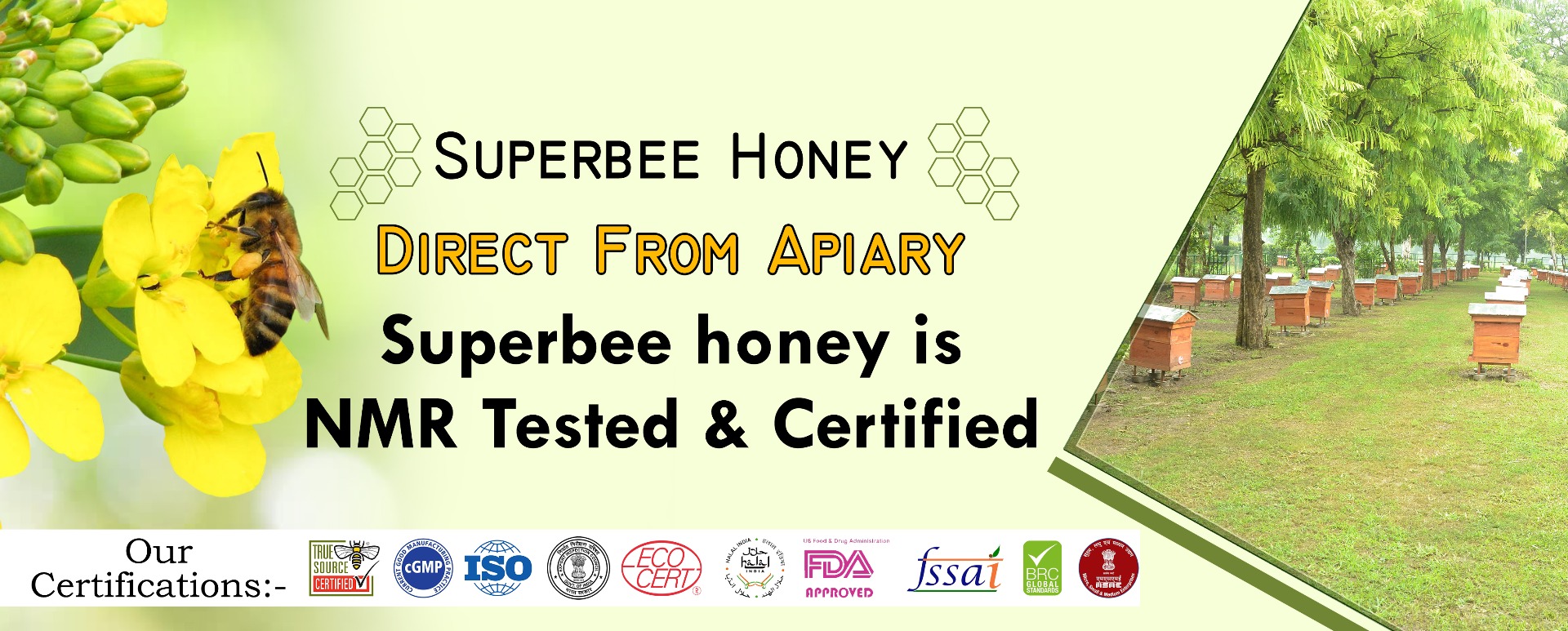 Hi-Tech Natural Products (India) Ltd. - Pure and Organic Honey Dealer in GTB Enclave, Dilshad Garden
