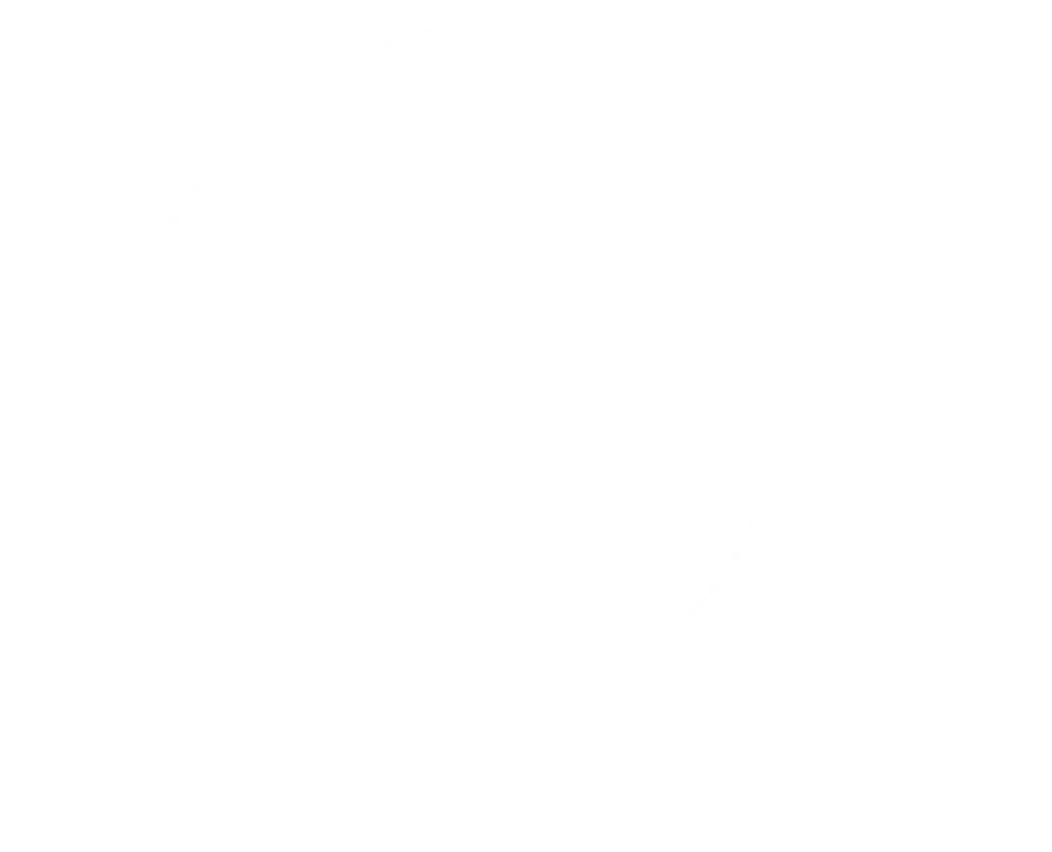 Over 100 happy clients
