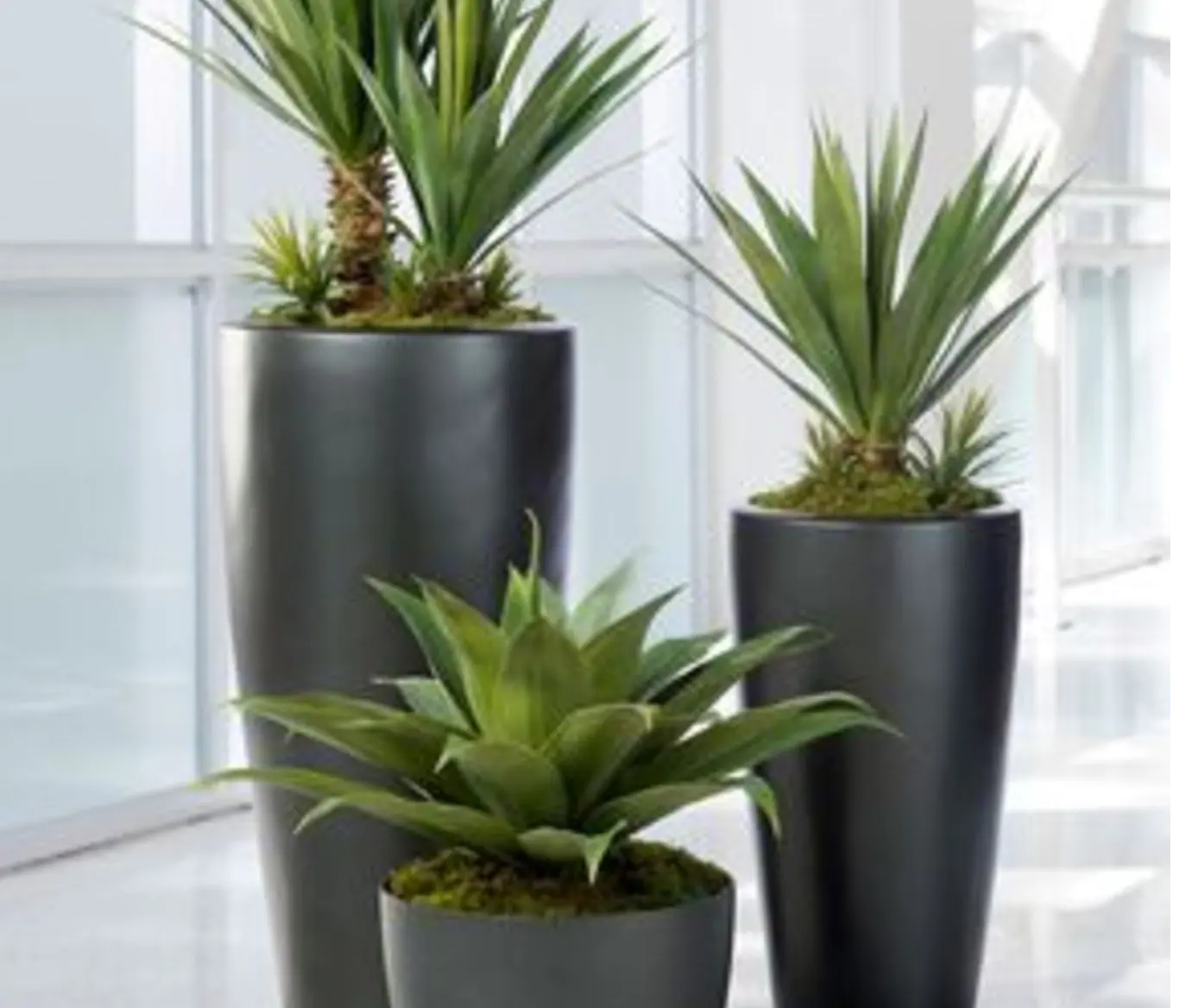 Artificial Plants